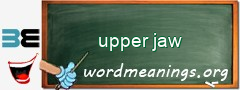 WordMeaning blackboard for upper jaw